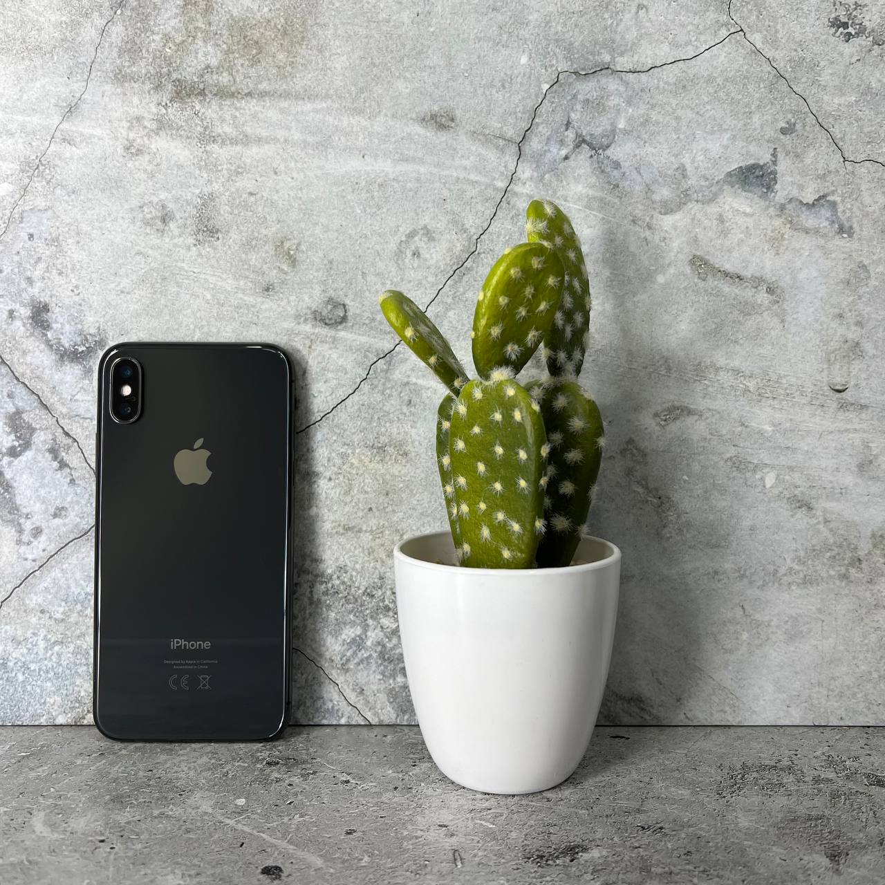 Apple iPhone X 64gb Space Gray в Тюмени